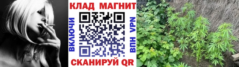 Как найти наркотики Кировград Alpha PVP  ГАШИШ  omg ССЫЛКА  Конопля 
