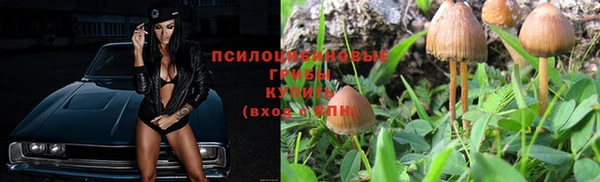 гашиш Абинск