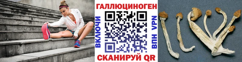 Галлюциногенные грибы прущие грибы Кировград